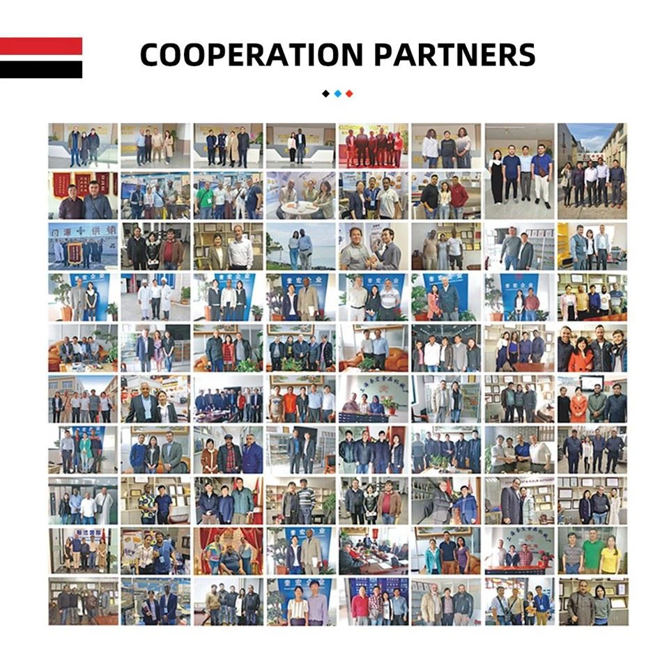 Compressed Biscuit Machine best