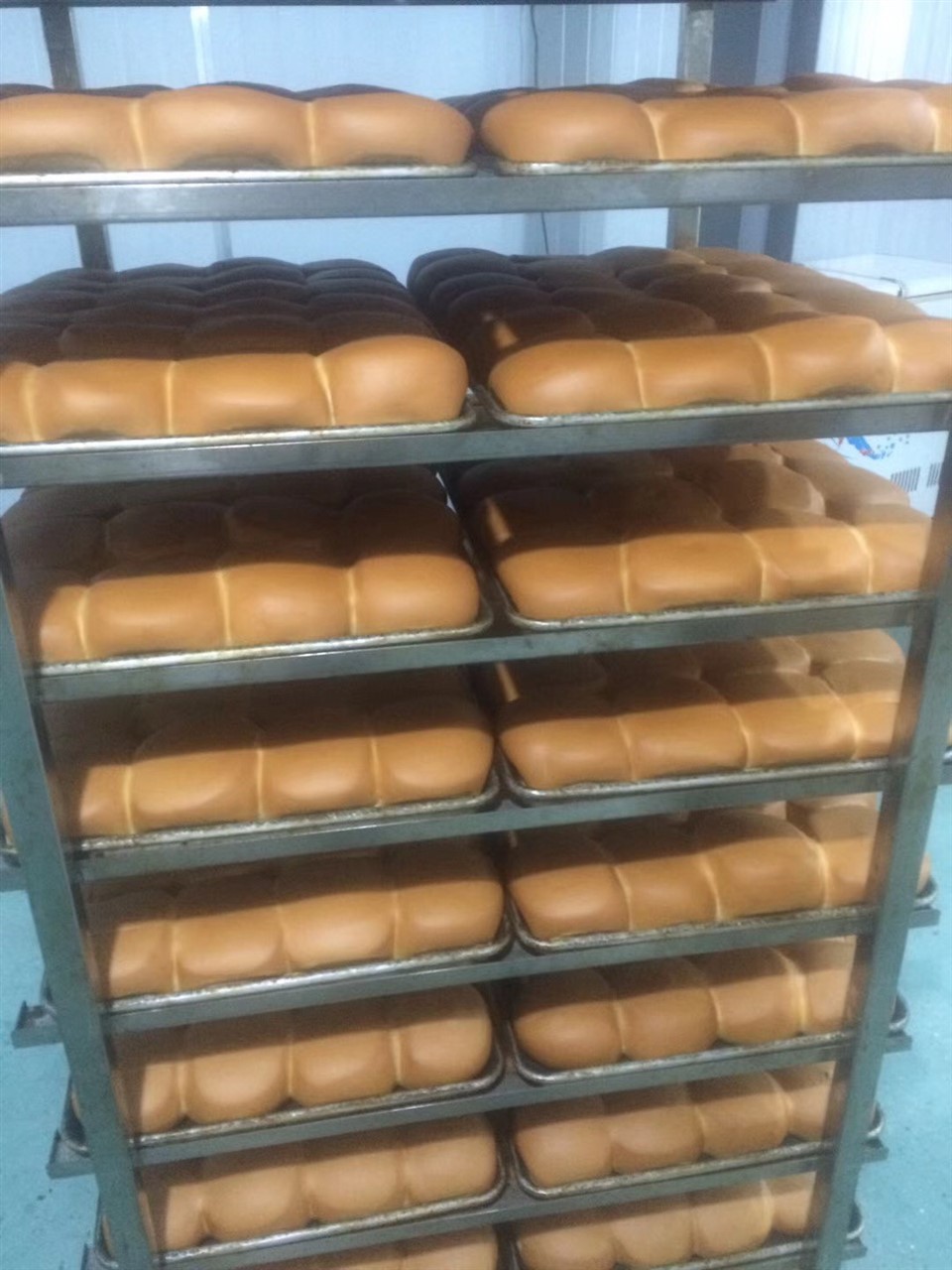Rotary Hot Air Circulation Oven factory